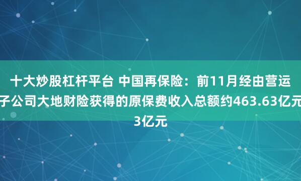 十大炒股杠杆平台 中国再保险：前11月经由营运子公司大地财险获得的原保费收入总额约463.63亿元