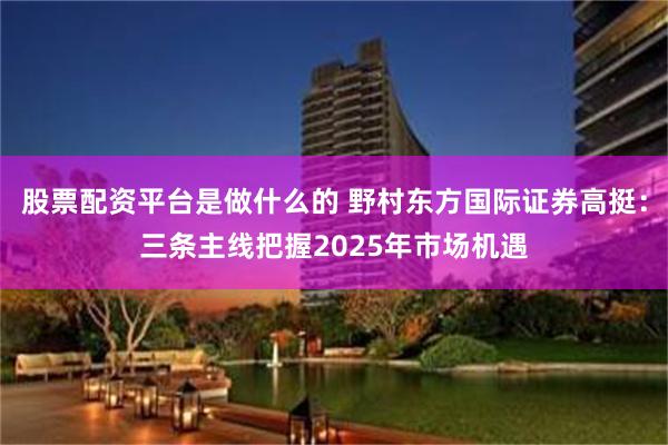 股票配资平台是做什么的 野村东方国际证券高挺：三条主线把握2025年市场机遇