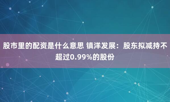 股市里的配资是什么意思 镇洋发展：股东拟减持不超过0.99%的股份