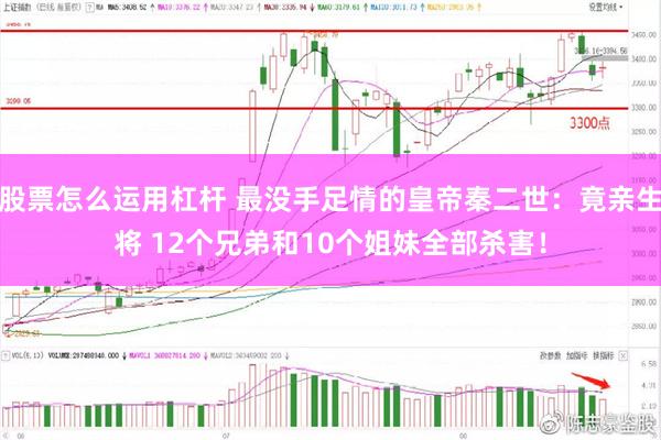 股票怎么运用杠杆 最没手足情的皇帝秦二世：竟亲生将 12个兄弟和10个姐妹全部杀害！