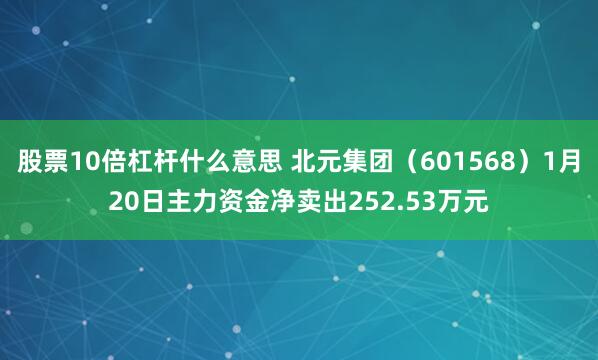 股票10倍杠杆什么意思 北元集团（601568）1月20日主力资金净卖出252.53万元