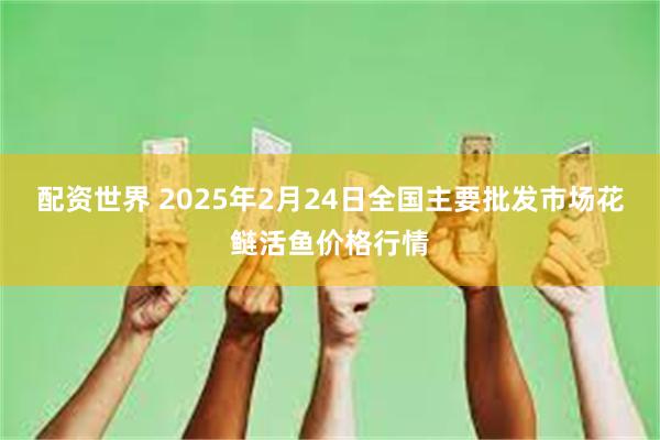 配资世界 2025年2月24日全国主要批发市场花鲢活鱼价格行情