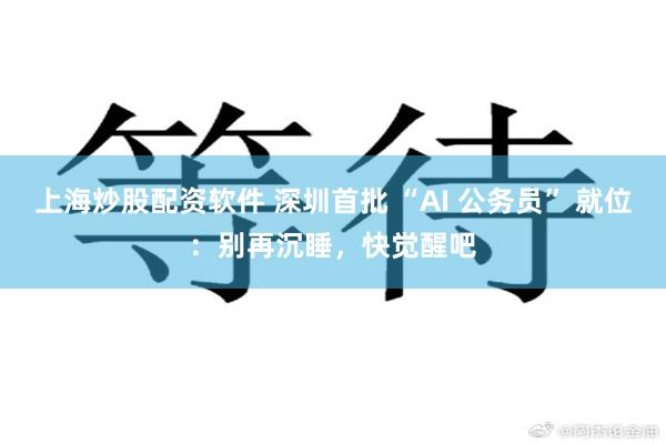 上海炒股配资软件 深圳首批 “AI 公务员” 就位：别再沉睡，快觉醒吧