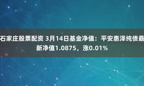 石家庄股票配资 3月14日基金净值：平安惠泽纯债最新净值1.0875，涨0.01%